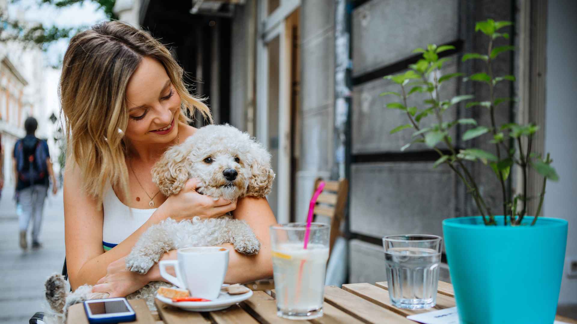 Restaurantes Pet Friendly en Santiago que Tienes que Visitar