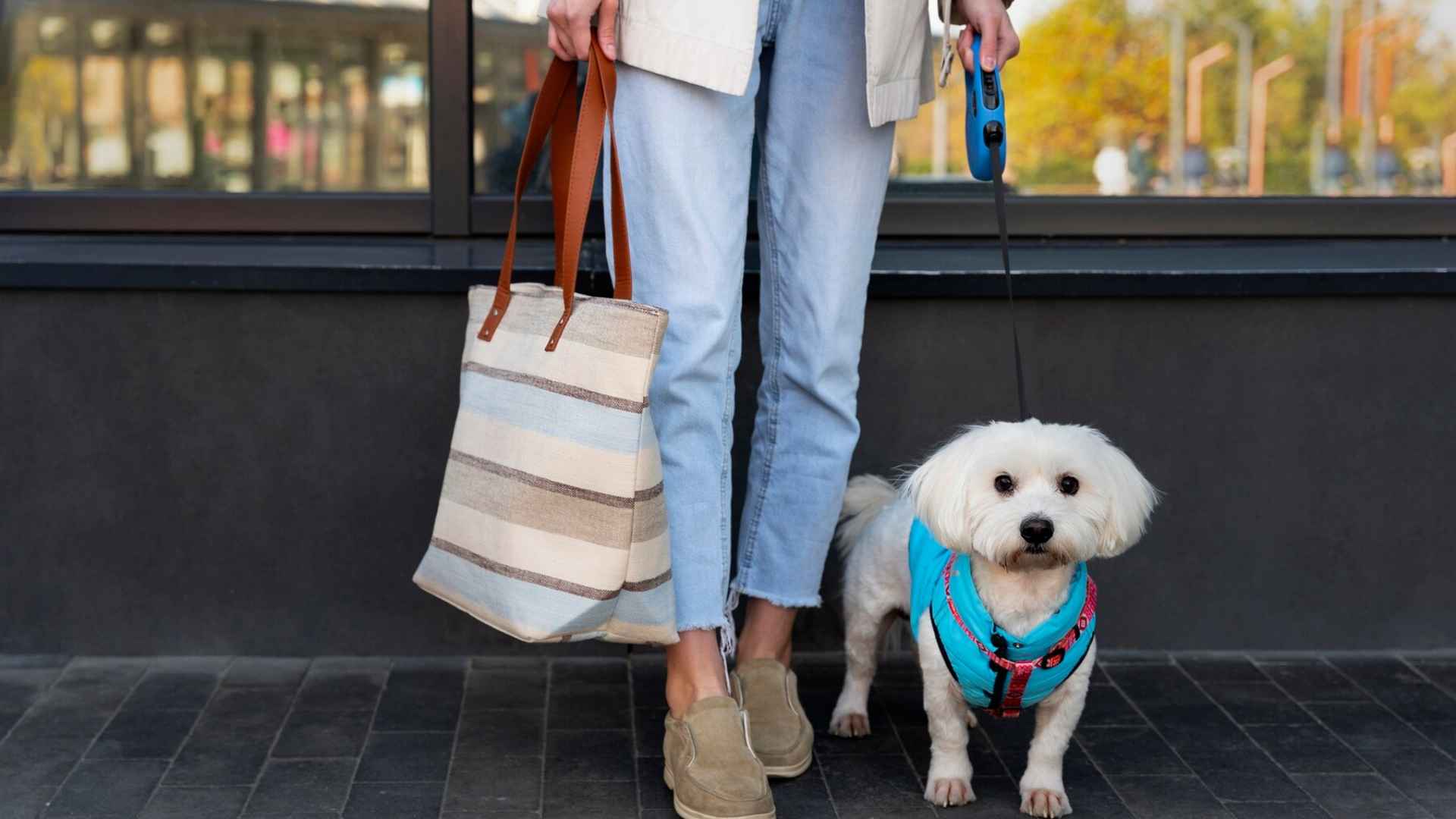 Supermercados Pet Friendly en Chile