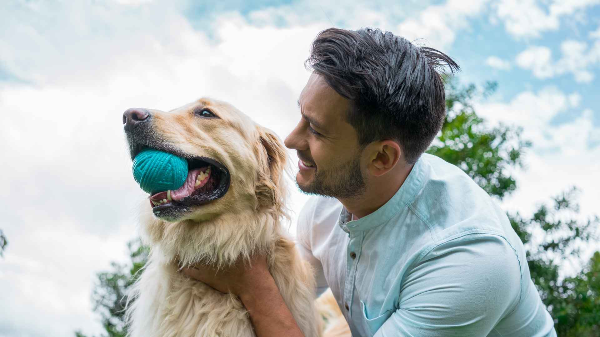 Ley Cholito Chile: Todo lo que Debes Saber