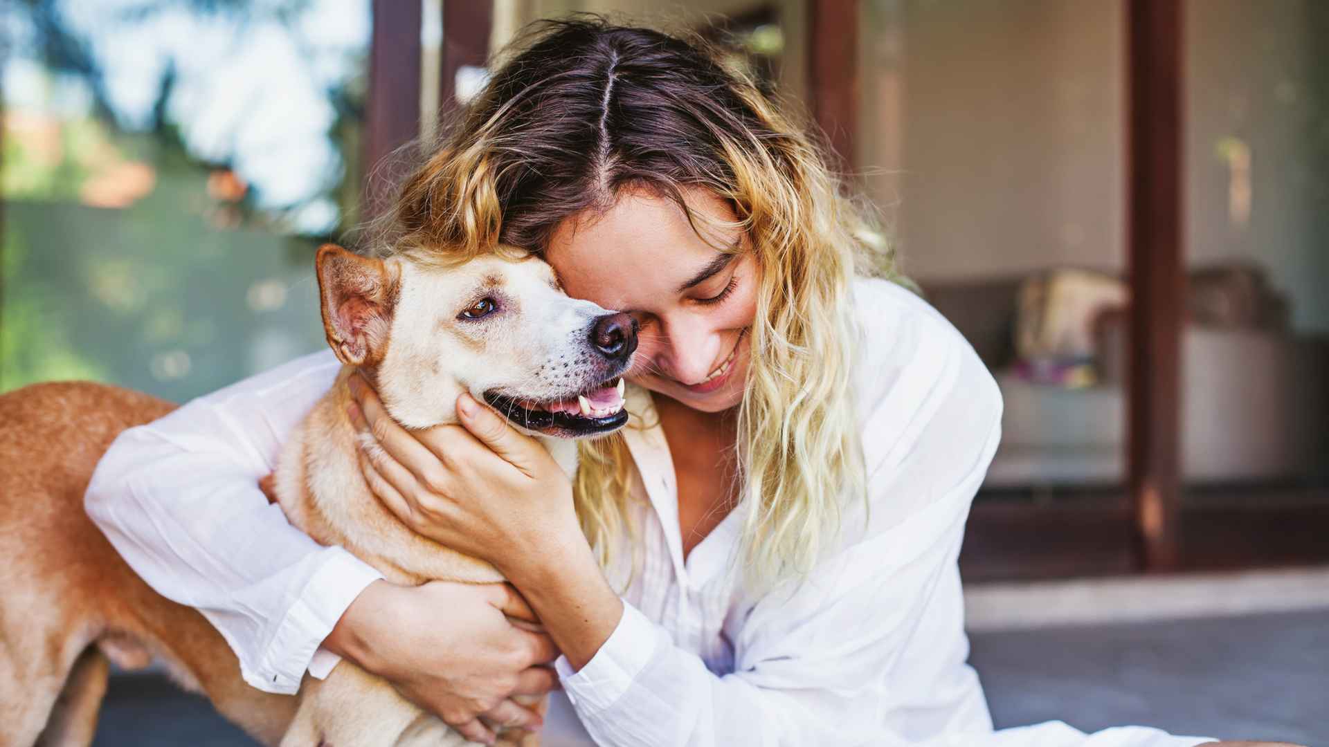 Comparamos todos los seguro de mascotas de Chile